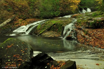 Alsea falls