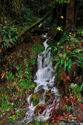 _DSC0029.JPG