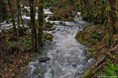 _DSC0042.JPG