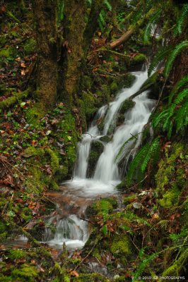 _DSC0046.JPG