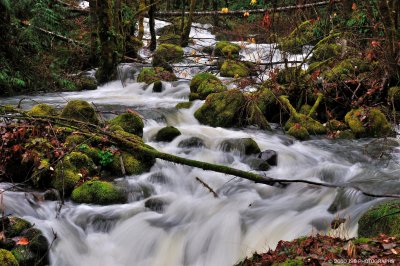 _DSC0049.JPG