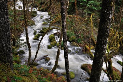 _DSC0070.JPG