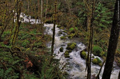 _DSC0073.JPG