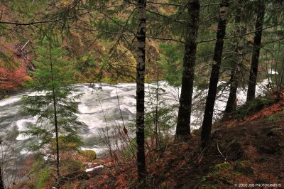 _DSC0078.JPG