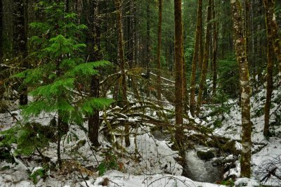 _DSC0091.JPG