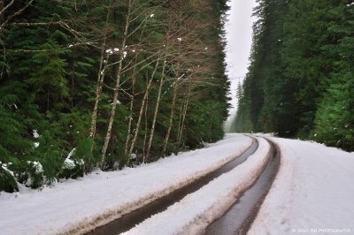 _DSC0104.JPG