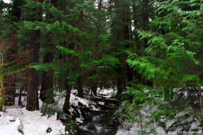 _DSC0107.JPG
