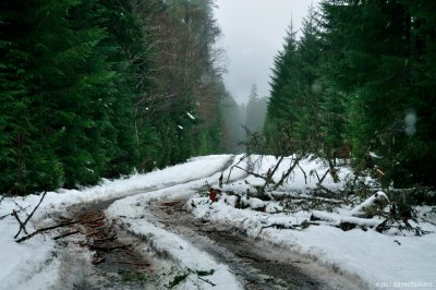 _DSC0110.JPG