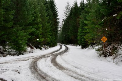 _DSC0119.JPG