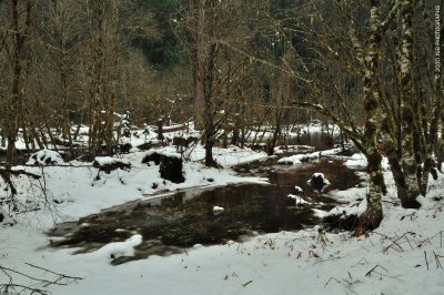 _DSC0124.JPG