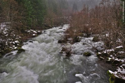 _DSC0190.JPG