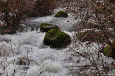 _DSC0215.JPG