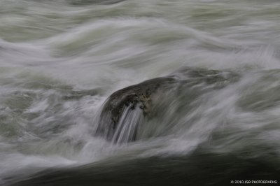 _DSC0228.JPG