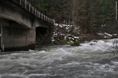 _DSC0230.JPG