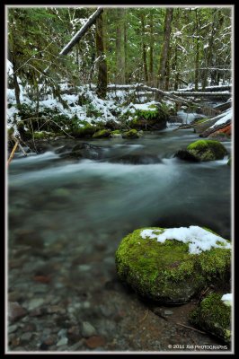 Mountain Stream