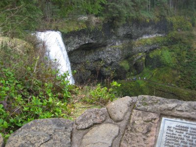 IMG_0155.jpg