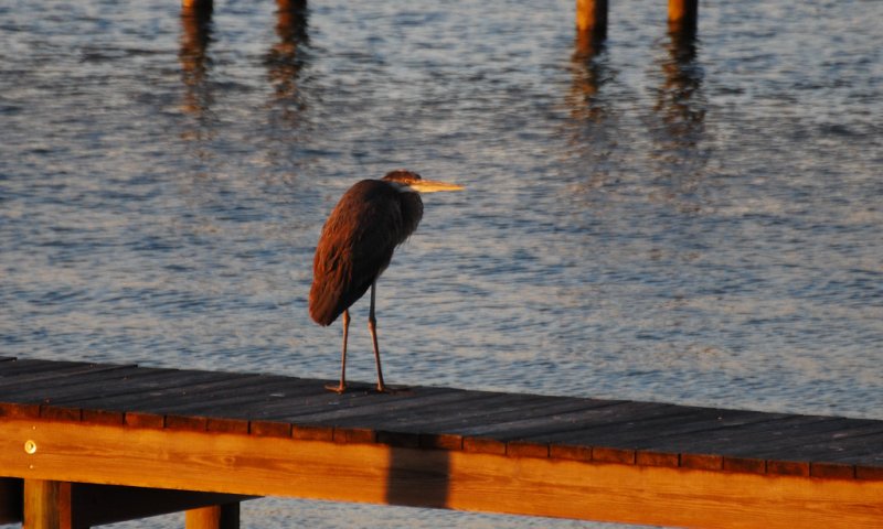 DSC000060001_1.JPG