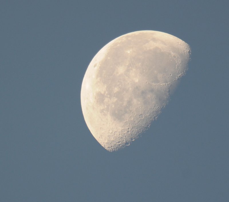 Moon
