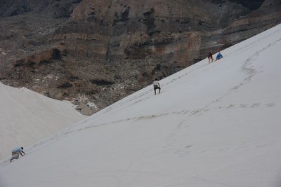 68.jpg