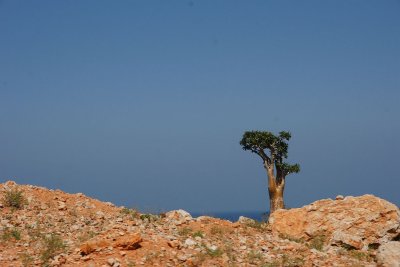 86.jpg