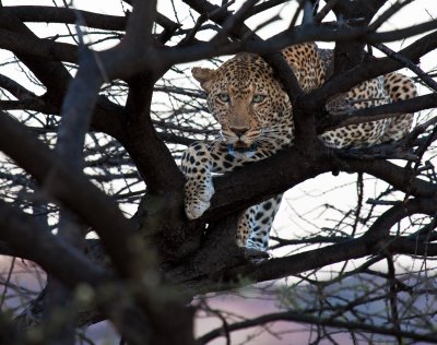 g1/65/12565/3/110230166.fXr1euyW.jpg