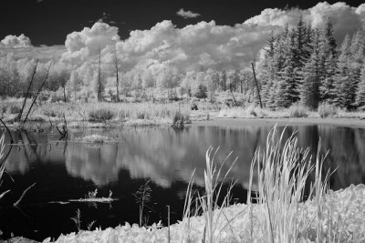 Canon EOS 5D_050117_48.jpg