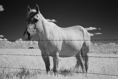 Canon EOS 5D_050116_24.jpg