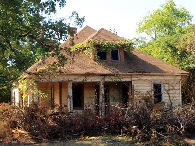 Vine Covered Cottage