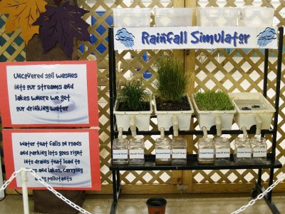 What happens to rainwater?
