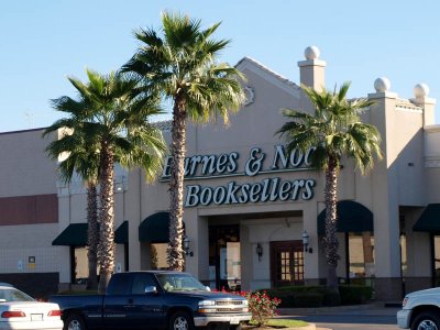 Palm Trees at Barnes & Noble