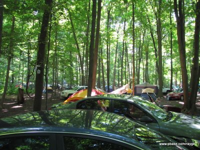 IMG_1033.jpg