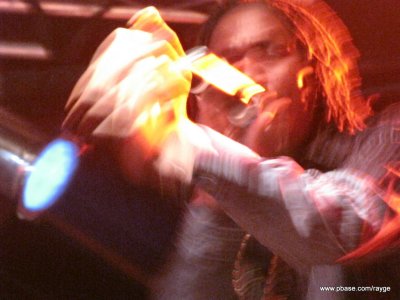 IMG_1261.jpg