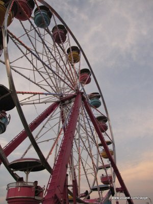 IMG_6983.JPG