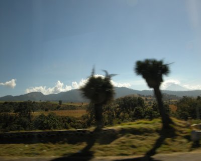 9778.jpg
