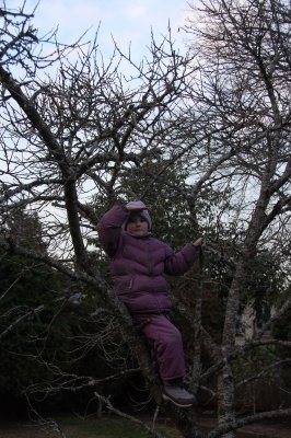 DSC_1548.JPG