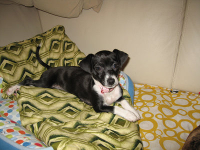 Relaxing in New Home
