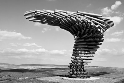 Singing Ringing Tree