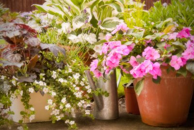 Patio Still Life