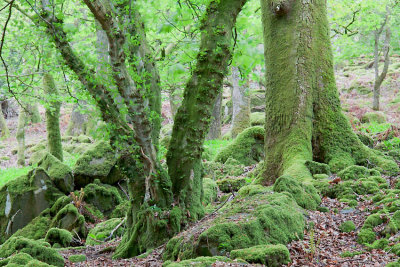 Windermere Walk 0074