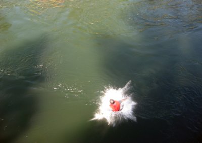 Luis Montes, Making a Hole in the American River