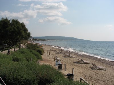 Gecko Beach, Migjorn 2009