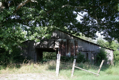 June302009_0747.jpg