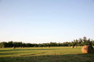 June302009_0768.jpg