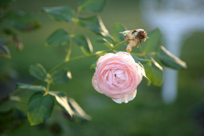 June302009_0780.jpg