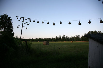 June302009_0800.jpg