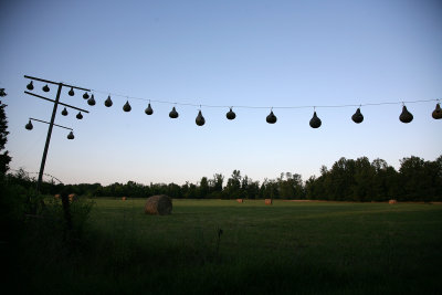 June302009_0801.jpg