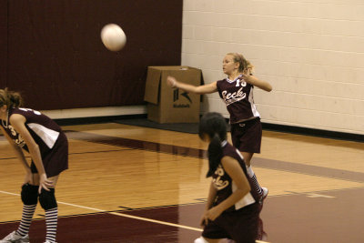 Ally Volleyball!
