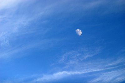 July202010_4596.jpg