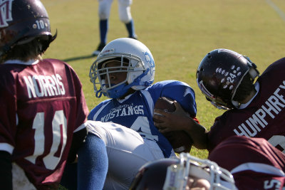 Oct92010_6317.jpg