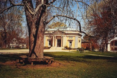 Courthouse Lawn grass.jpg